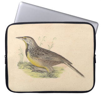 The Eastern Meadowlark (Sturnella magna) NY Birds Laptop Sleeve