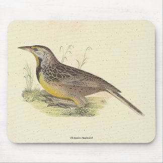 The Eastern Meadowlark (Sturnella magna) NY Birds Mouse Pad