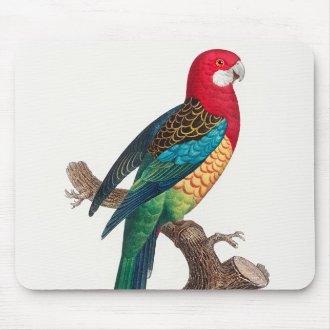 The Eastern Rosella, Platycercus eximius Parrots Mouse Pad (Front)