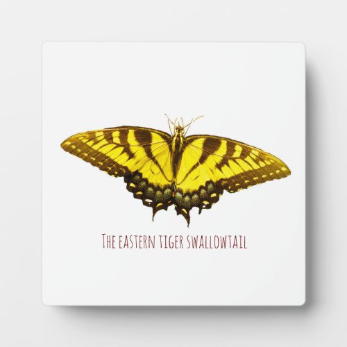 The eastern tiger swallowtail butterfly  plaque