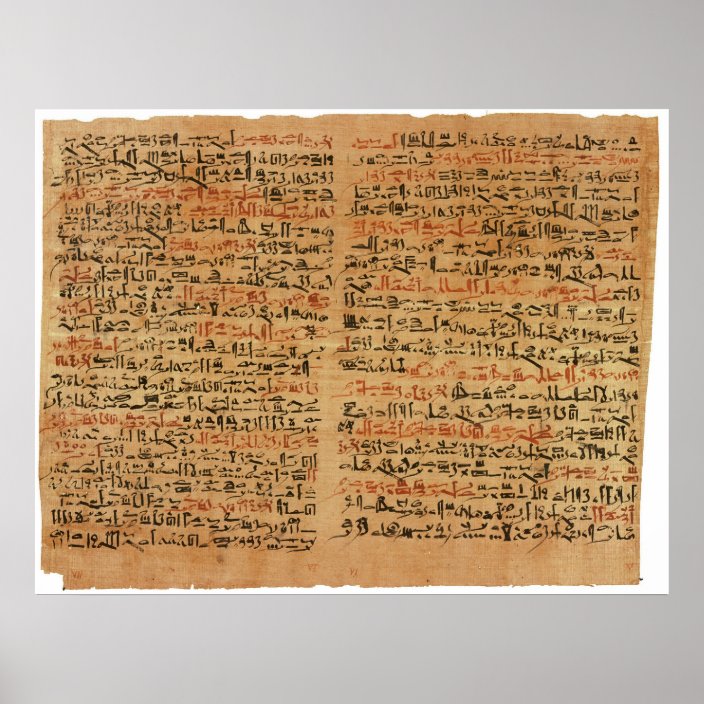 edwin smith papyrus text