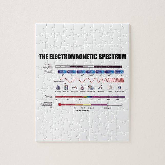 The Electromagnetic Spectrum (Physics Wavelengths) Jigsaw Puzzle (Vertical)