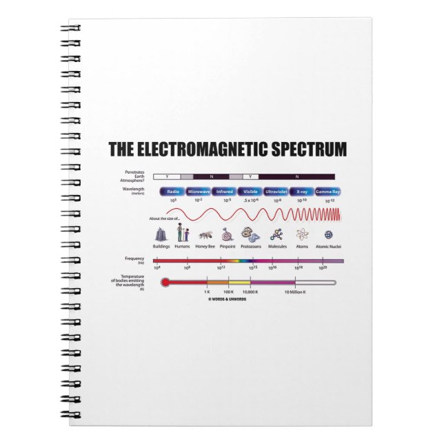The Electromagnetic Spectrum Physics Wavelengths Notebook (Front)