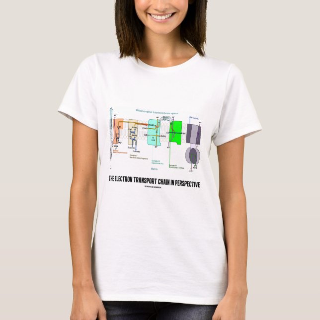 The Electron Transport Chain In Perspective T-Shirt (Front)