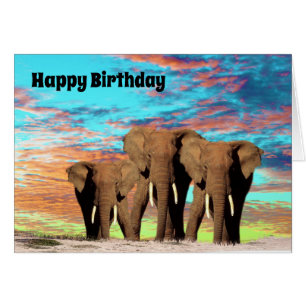 The Elephant Gang, Birthday Card