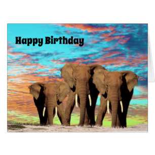 The Elephant Gang, Jumbo Birthday Card