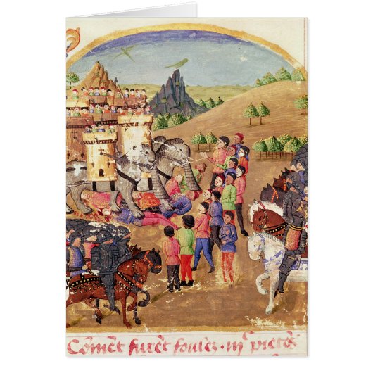 The Elephants of War Cards (Front)