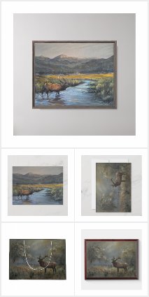 The Elk Collection