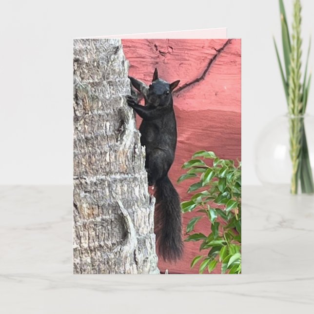 The Elusive Black Squirrel Folded Greeting Card (Front)
