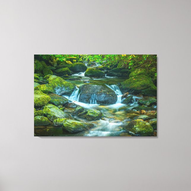 The Emerald Flow of the Irish Brook Canvas Print (Front)