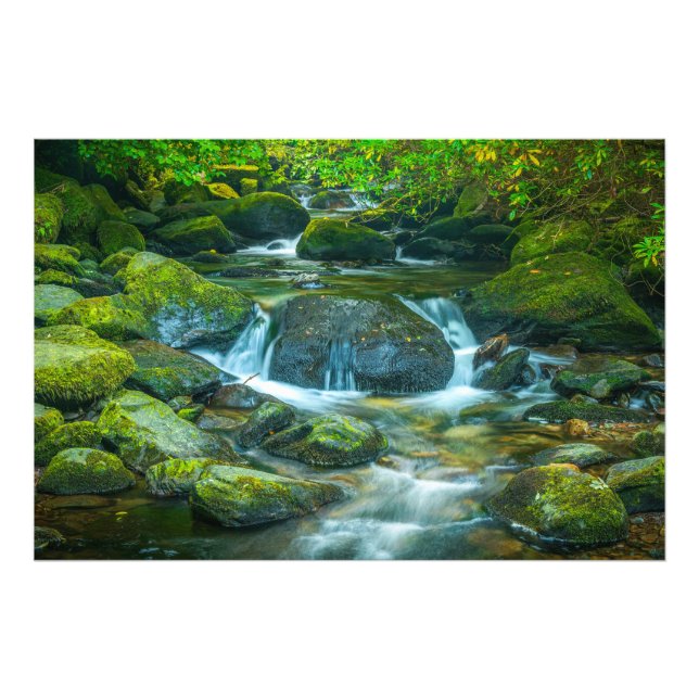 The Emerald Flow of the Irish Brook Photo Print (Front)