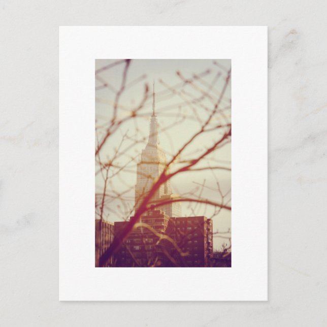 The empire State Building, NYC Postcard (Front)