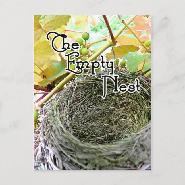 The Empty Nest Postcard (Front)