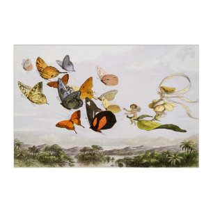 The Enchanted Carriage of the Fairy Queen (1870) Acrylic Print