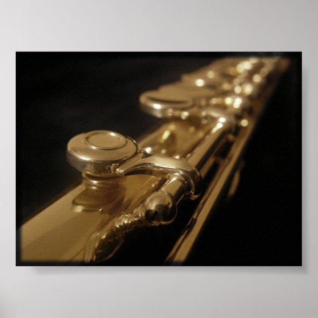The Enchanting Flute Poster (Front)