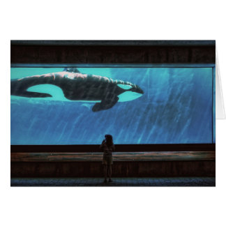 The Encounter Cards
