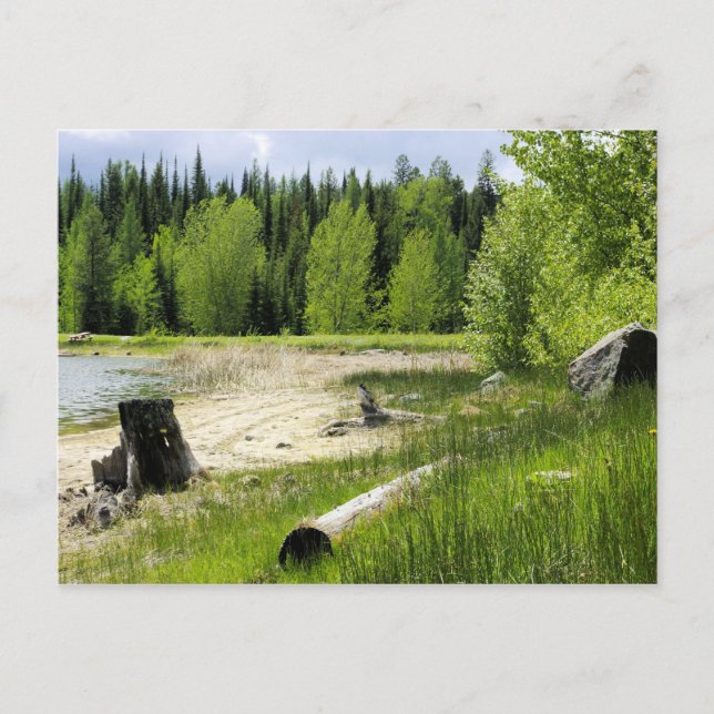 The end of the lake - Marshall Lake Postcard (Front)