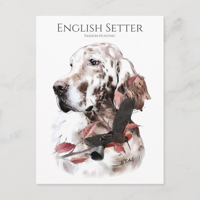 The English Setter,  Passion Hunting Postcard (Front)