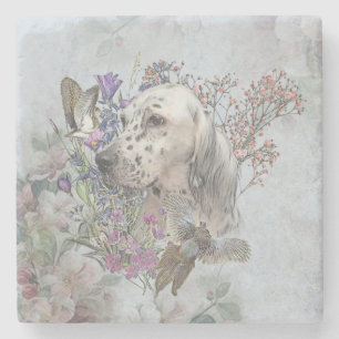 The English Setter Portrait  , art   Stone Coaster