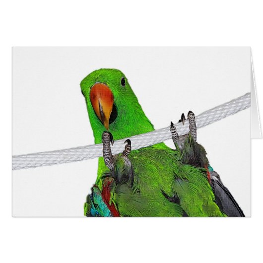 The Entertainer (Front Horizontal)