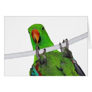 The Entertainer Cards