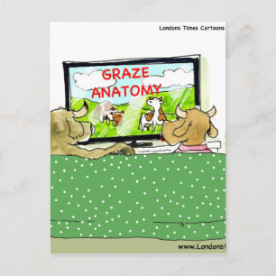 The Entertaining Cows Funny Postcard