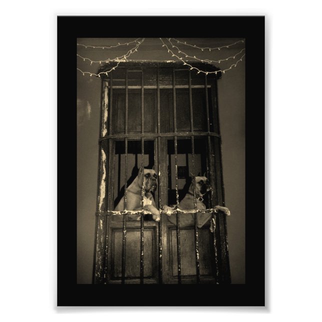 The Escape Plan Photo Print (Front)
