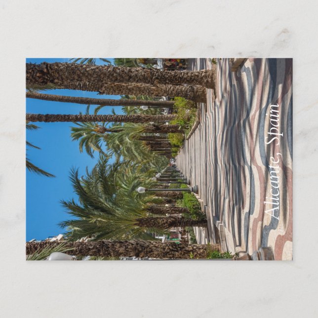 The Esplanade, Alicante, Spain Holiday Postcard (Front)