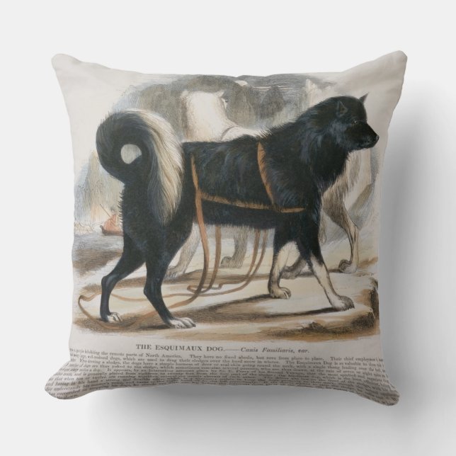 The Esquimaux Dog (Canis familiaris) educational i Throw Pillow (Front)