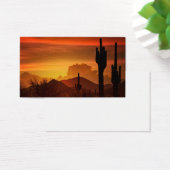The Essence of the Southwest (Desk)