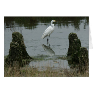 The Estuary at Pajaro Dunes Cards