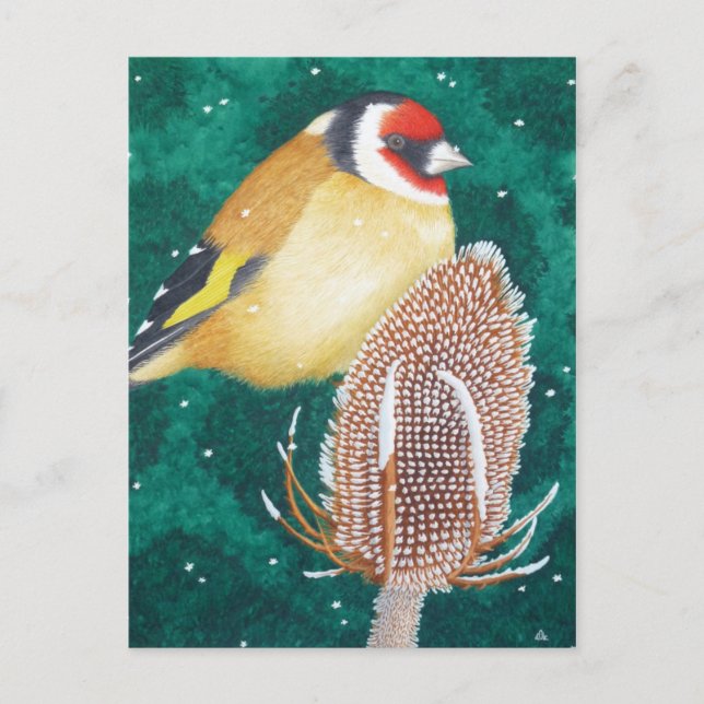 The European Goldfinch Postcard (Front)