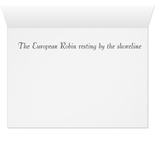 The European Robin (Inside Horizontal (Bottom))