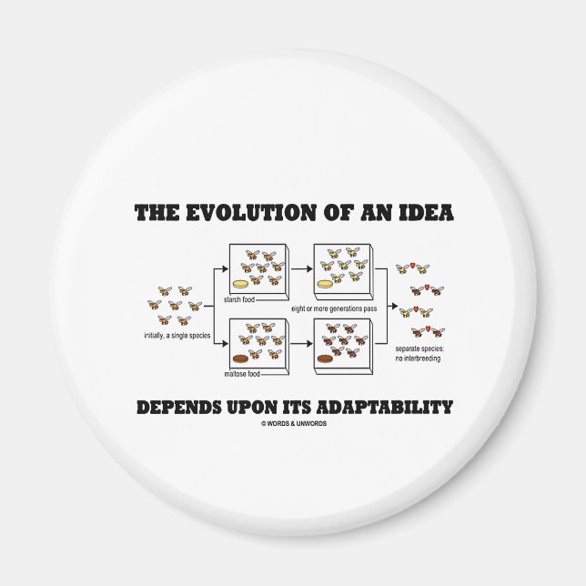 The Evolution An Idea Depends Upon Adaptability Magnet (Front)