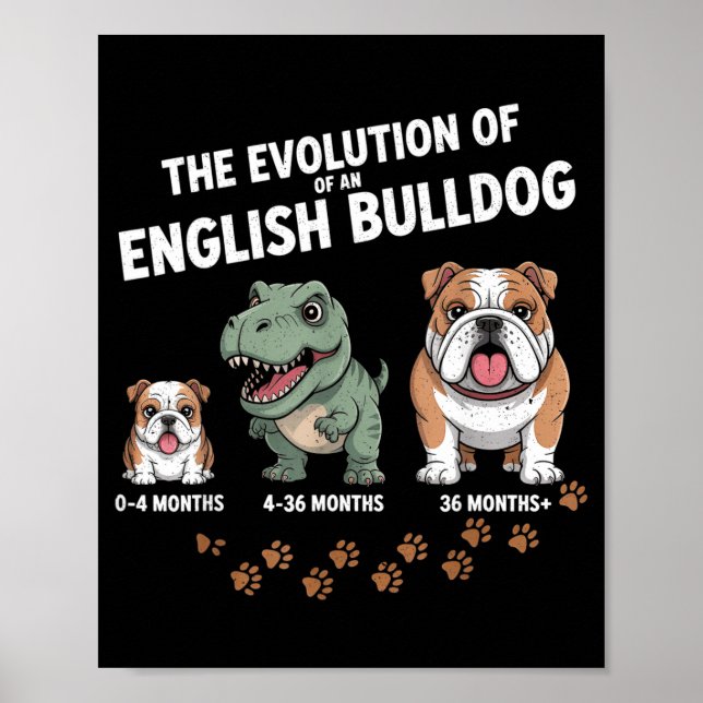 The Evolution Of An English Bulldog Funny  Poster (Front)