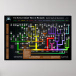 The Evolutionary tree of Religion Poster<br><div class="desc">This chart outlines the origins of spiritual awareness (e.g. shamanism & animism),  illustrating how these primitive ideologies branched off into more complex belief systems. Eventually they would adapt and evolve into the organized religions we are all familiar with today,  such as Catholicism,  Wicca and Scientology.</div>