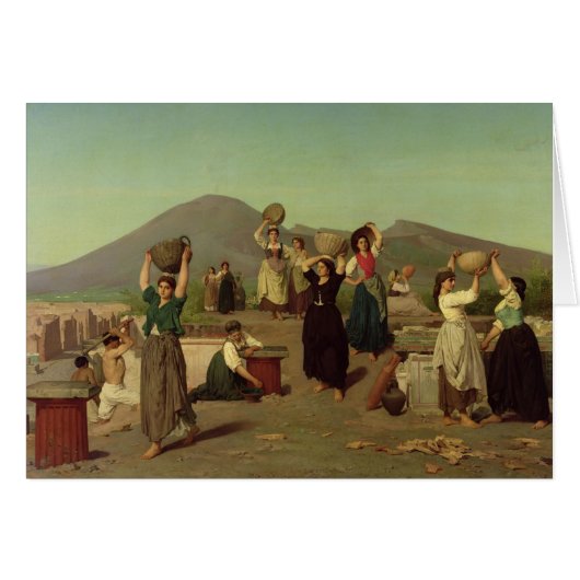 The Excavations at Pompeii, 1865 Cards (Front Horizontal)