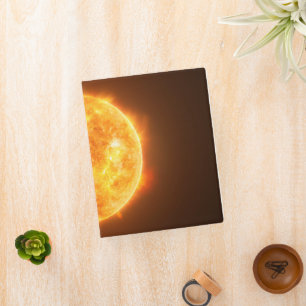 The Exoplanet Wasp-107b Is A Gas Giant Mini Binder