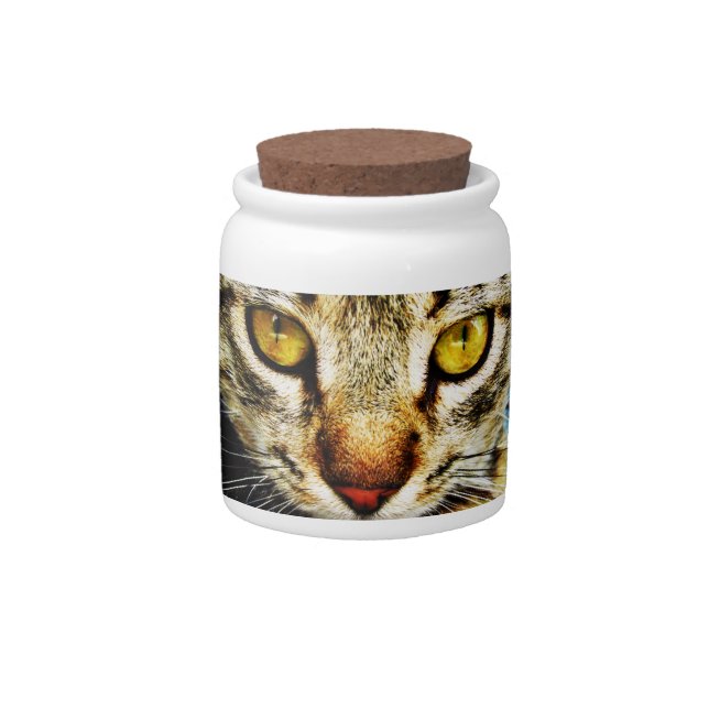 The expressive look of a domestic cat candy jar (Front)
