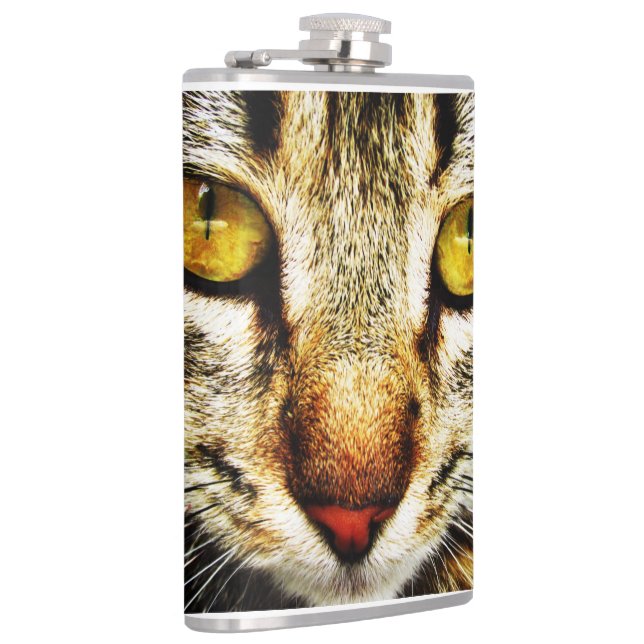 The expressive look of a domestic cat flask (Right)