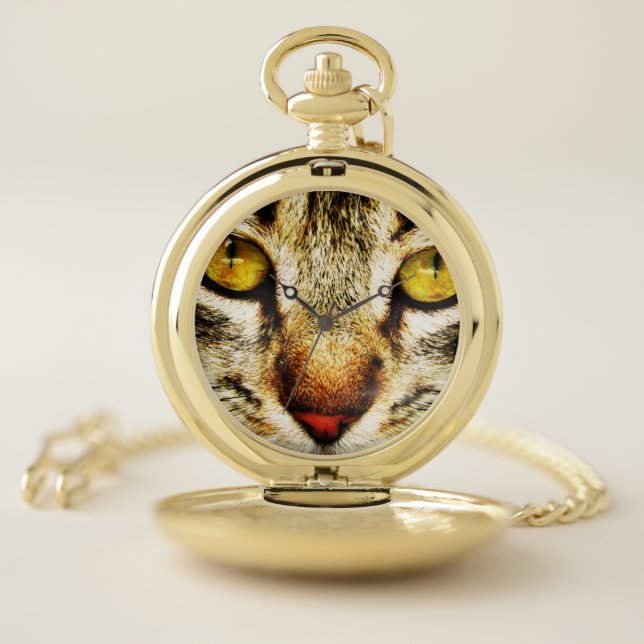 The expressive look of a domestic cat pocket watch (Inside)