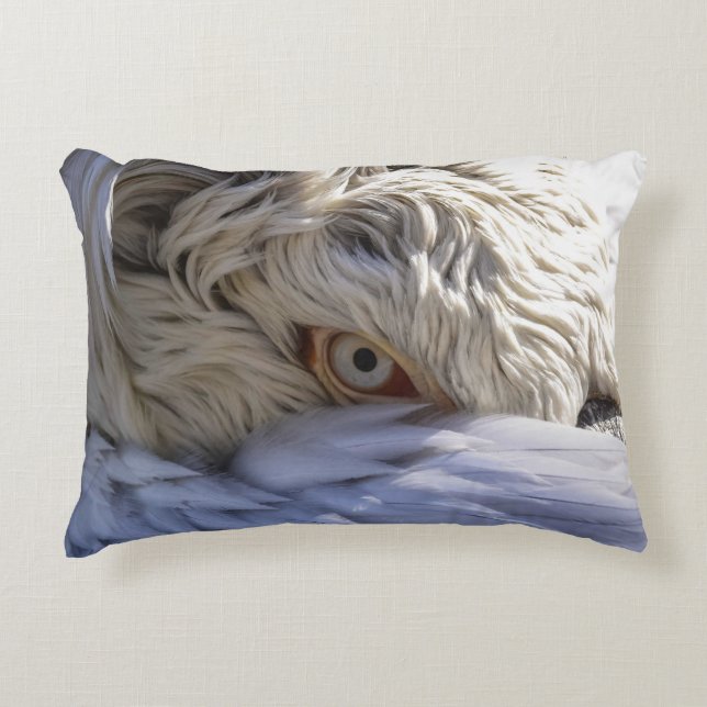 The Eye of a Pelican Accent Pillow (Front)