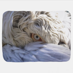 The Eye of a Pelican Baby Blanket