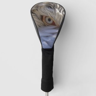 The Eye of a Pelican