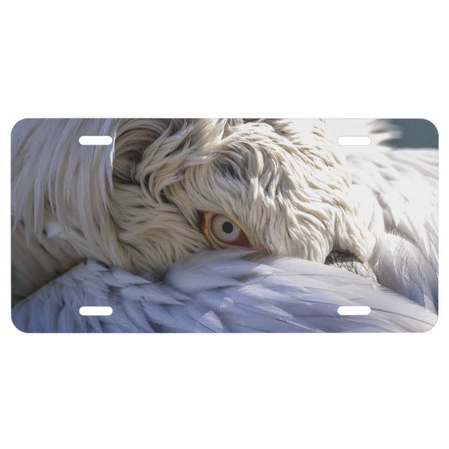 The Eye of a Pelican License Plate (Front)