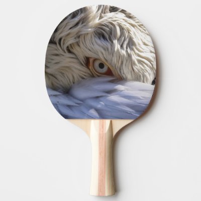 The Eye of a Pelican Ping Pong Paddle