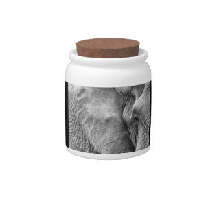 The eye of an elephant candy jar