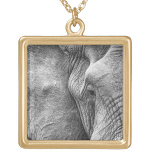 The eye of an elephant gold plated necklace