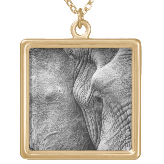 The eye of an elephant gold plated necklace (Front)