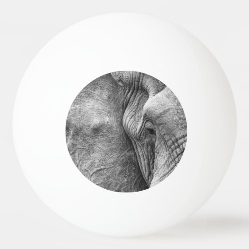The eye of an elephant ping pong ball